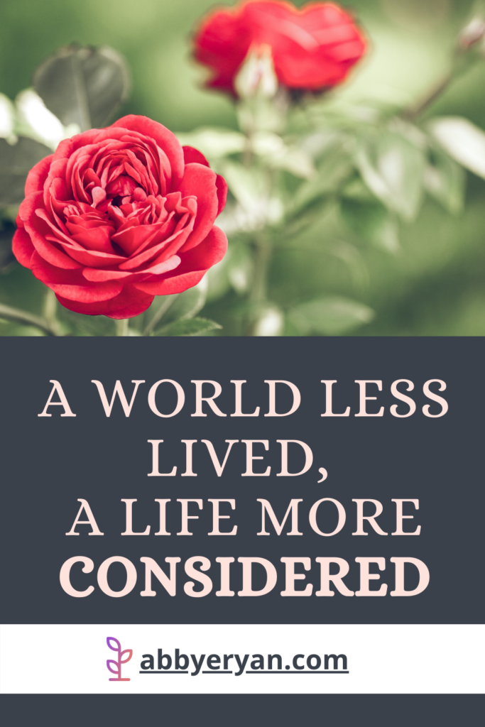 A World Less Lived, a Life More Considered